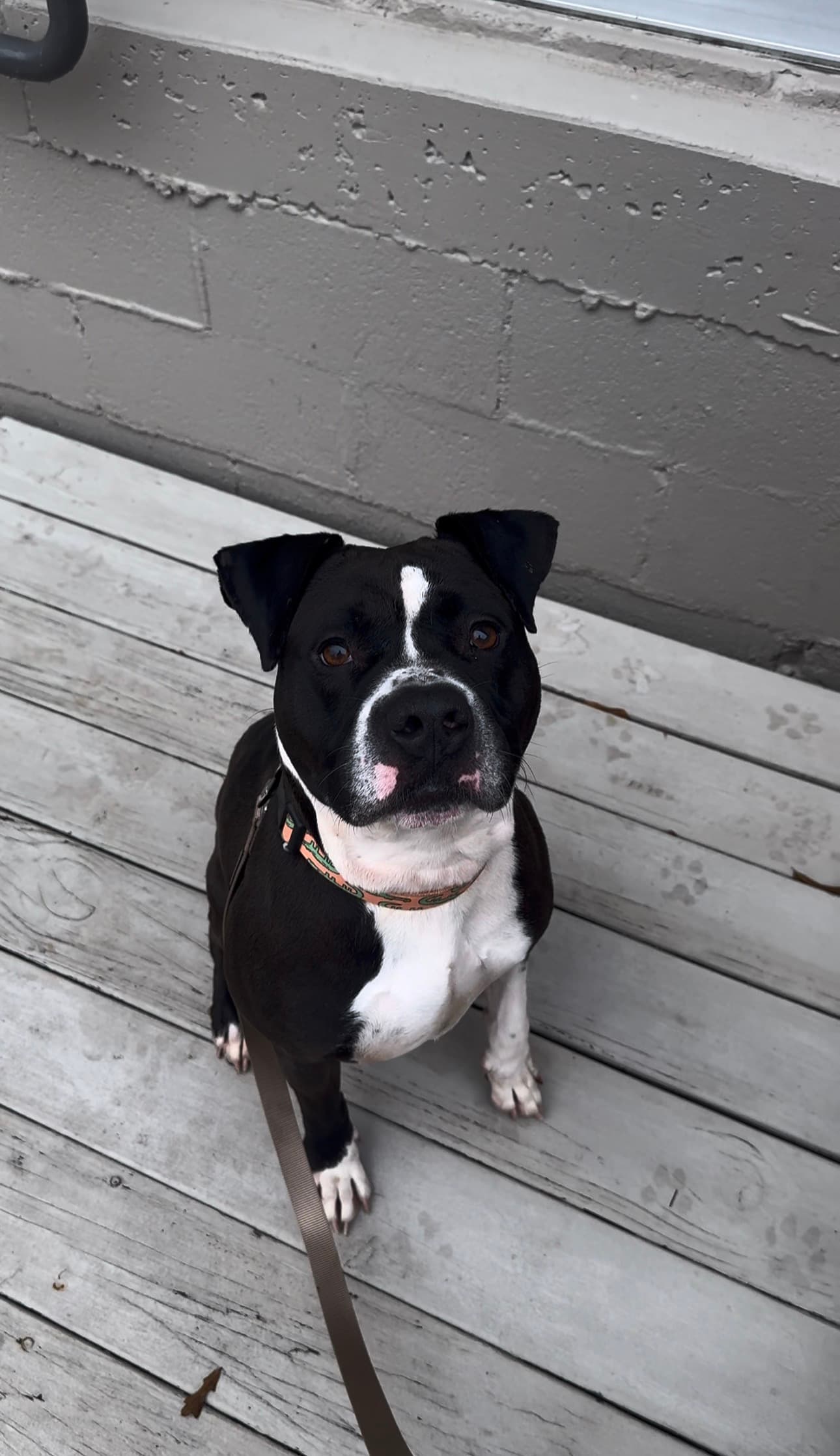 Bruce