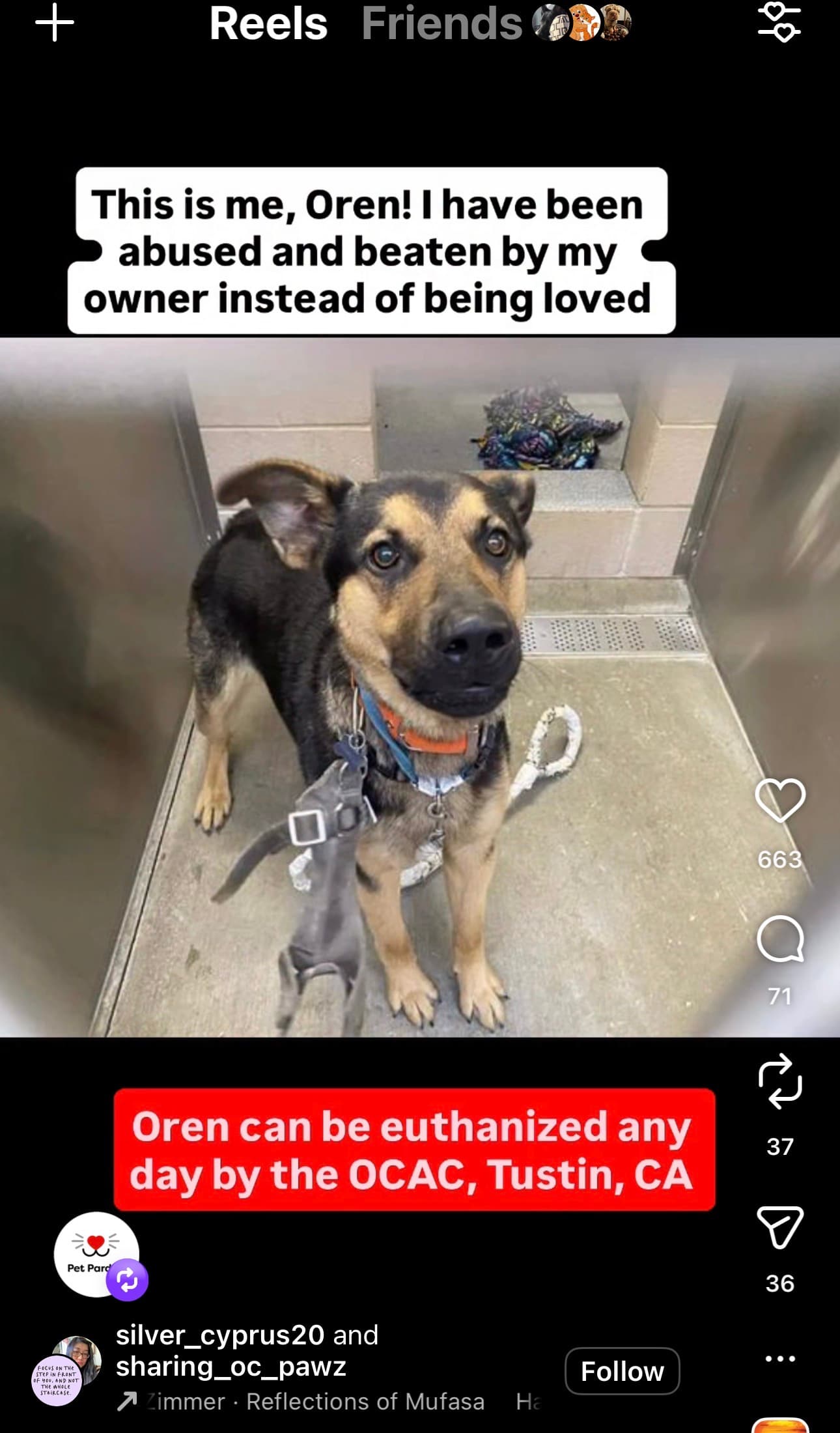 Oren